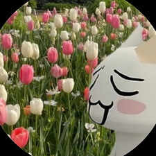 magda  ૮ ․ ․ ྀིა