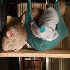 Nabilah Binte Abdul Rahman