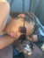 shauntel 