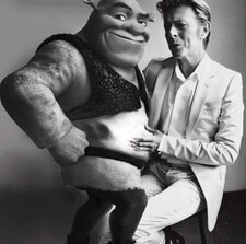 Вікторія Явір