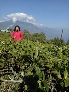 Kripaa Krishnamurthi