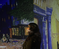 Brandy (Aelin’s version)