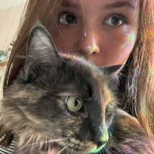 ˗ˏˋ liv ˎˊ˗