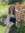 Olivia Vilon