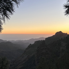 Alba