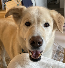 Élizabeth Tardif-Proulx