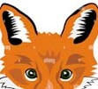 CtheFox