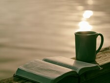 Book Fan