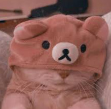 ⋆.˚౨ৎ Alex. B ౨ৎ⋆.˚