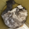 Charles
