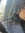 Shamim