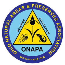 Evan 🌀🌀🌀🌀🌀