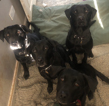 Lucy ✈️🛬🛩️