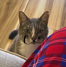 sophonthemoon17