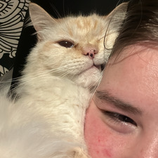 chayse &#x1f9b7;