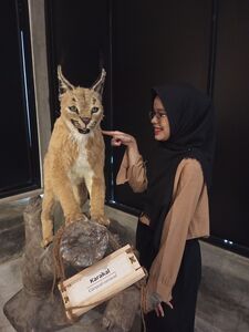 Hari