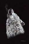 wolfpaw