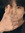 kt