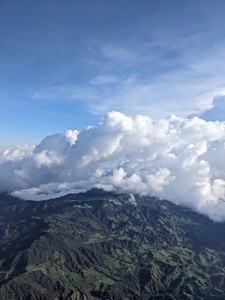 Federico Mejía-Posada