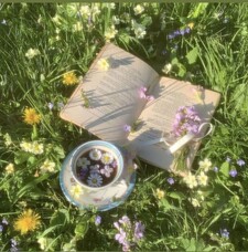 ☁︎ʟɪʟʏ☁︎