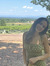 Carolin...