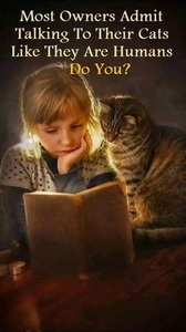 The Bookish Pilgrim