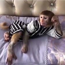 Alexander Hildermann