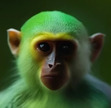 Limey