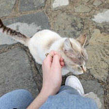 małgosia