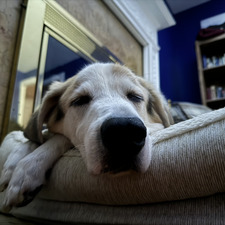 Jason Michael Stewart