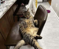 max