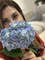 Damla