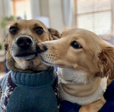 Jackson