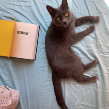 Augustė Bendžinskaitė