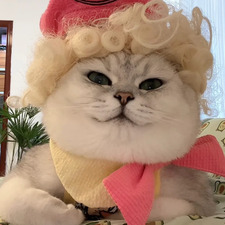 Chingchih CC