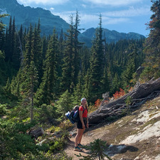 Alicia ✧･ﾟ: *✧･ﾟ