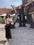 Ayse Nur