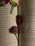 Reader