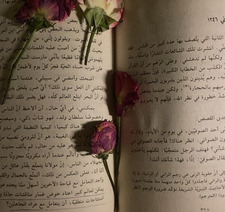 Reader