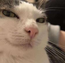 Μιχάλης Δερβεντζης