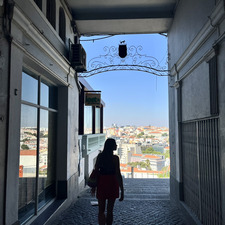 Estela