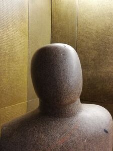 Arlo Alexander-Meylan