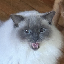 Jude-Michael Derbyshire