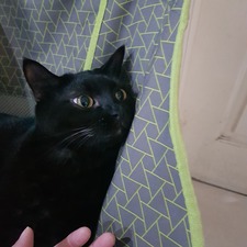 Len