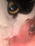 Lova ^‿^