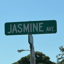 jasmine