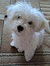 Adina