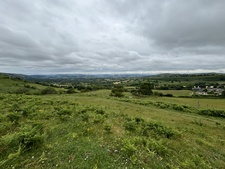 tedioustortoise