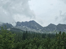 Elenca