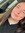 Katie Wroten